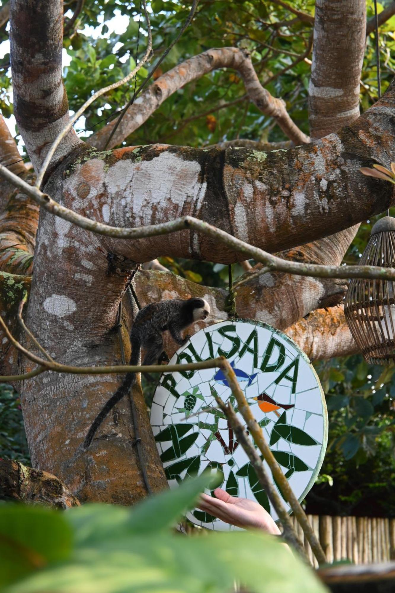 Habitat Caraiva